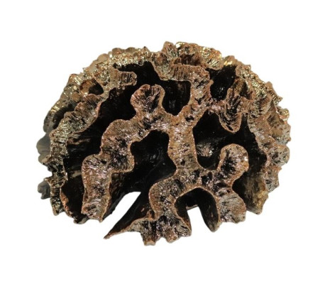 Dekorativ skulptur i korall