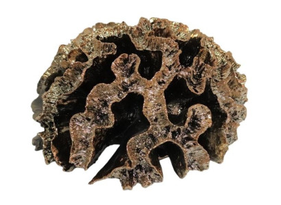 Dekorativ skulptur i korall