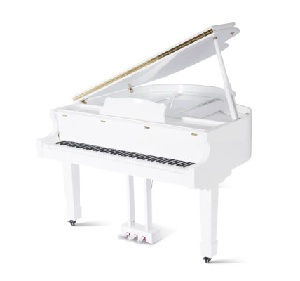 Svart glänsande piano