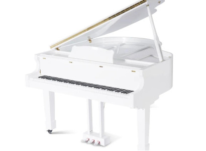 Svart glänsande piano