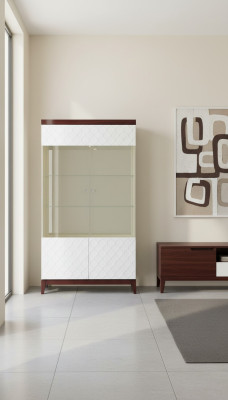 Moderne Design Vitrine Glasschrank Vitrinen Schrank Schaukasten Deko Regal