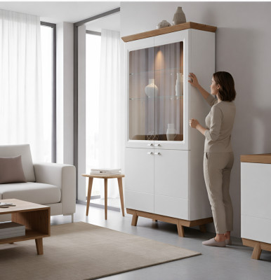 Moderner Vitrinen Schrank Wohnzimmer Hochschrank Hotel Aktenschrank Aspen AS-W2