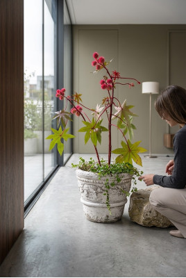 Blumenkübel Pflanz Kübel Dekoration Natur Figur Blumentöpfe Vasen Garten