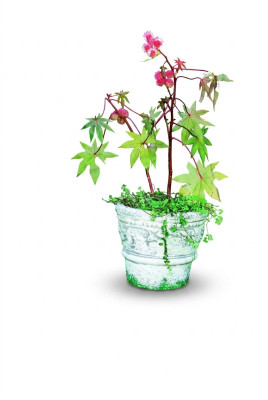 Blumenkübel Pflanz Kübel Dekoration Natur Figur Blumentöpfe Vasen Garten