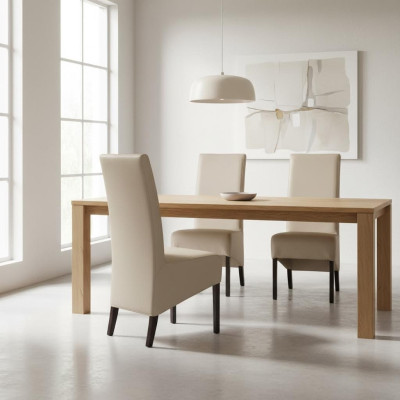 Design Sessel Polster Set 2x Stuhl Holz Stühle Gastro Esszimmer Neu