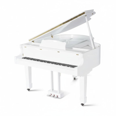 Svart glänsande piano