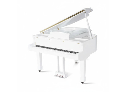 Svart glänsande piano