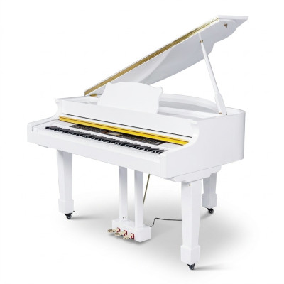 Blank piano
