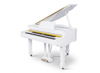 Blank piano