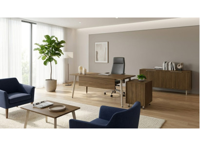 Büro Set Schreibtisch Sideboard Kommode Couchtisch Holz Modern