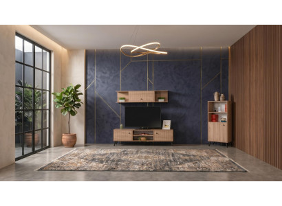 Braunes Wohnzimmermöbel-Set TV-Möbel Bücherregal hohe Qualität  Premium