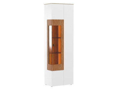 Vitrinenschrank Vitrine Schrankvitrine Glasdisplay Objektschrank